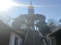-苏州上方山国家森林公园