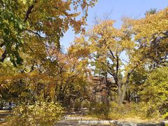 -吉林大学(南岭校区)