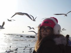 -老虎石海上公园