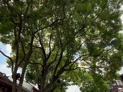 -周庄古镇景区-双桥