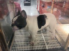 -乐宠宠物店(世纪金源店)