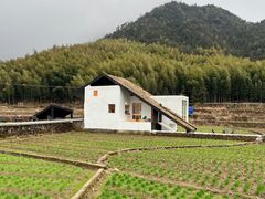 -泽雅景区