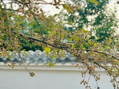 -府河摄影公园
