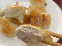 -东门饺子馆(少年宫路店)