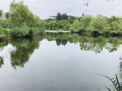 -灞河西岸滨河公园