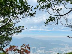 -狮子山郊野公园