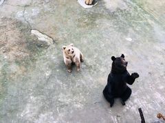 -哈尔滨北方森林动物园