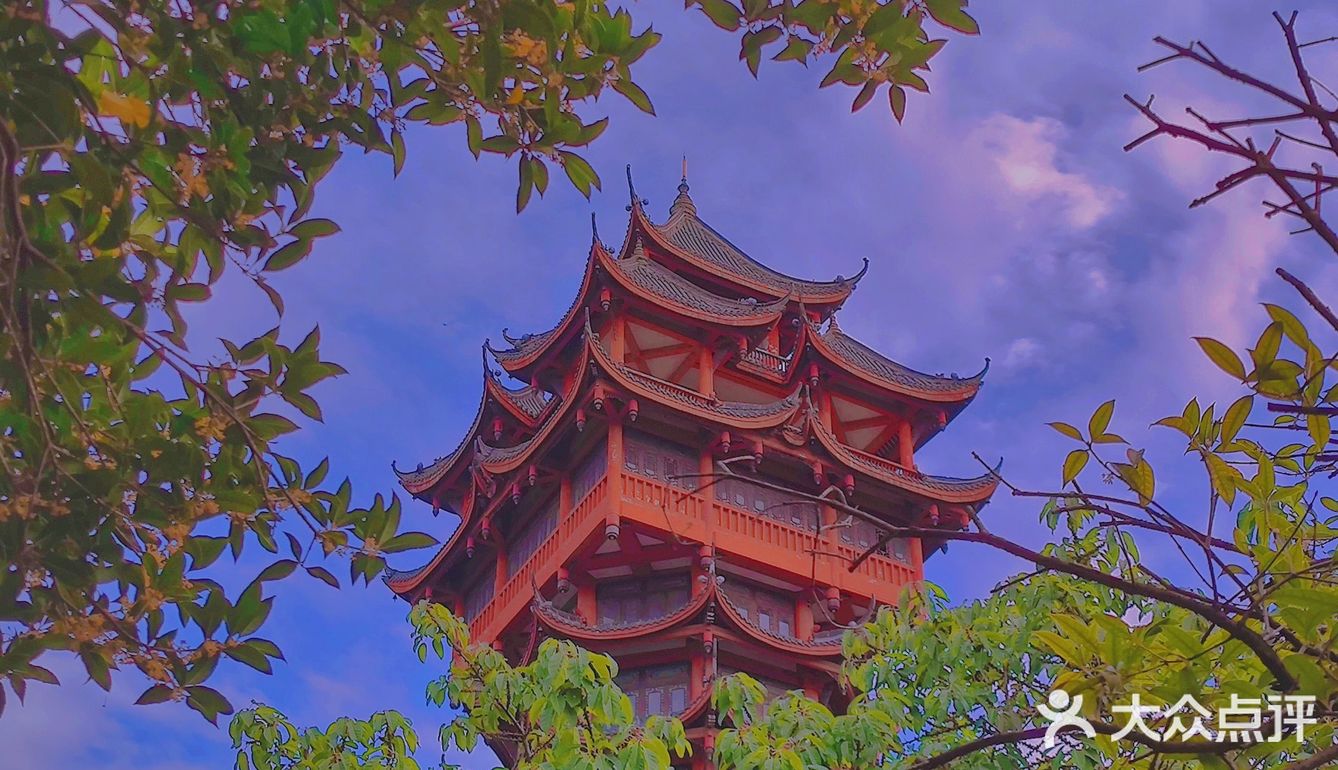 等个好天气，太不容易了❗成都的天，就像姑娘的情绪一样