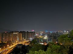 -金鸡山公园