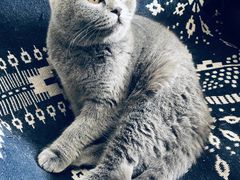 -平行世界·猫咖(首经贸店)