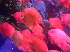 -悦来酒家·正宗闽南菜(西街店)