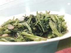 -农家大院