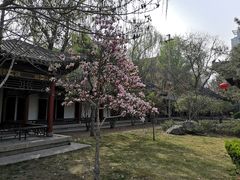 -碑林公园