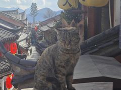 -大理古城