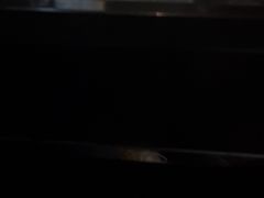 -索拉古贝(义乌北苑店)