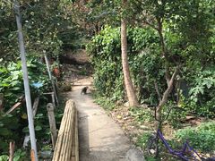 -大澳渔村及棚屋