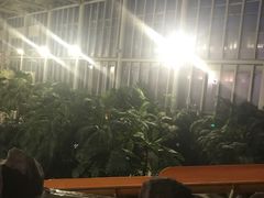 -中家鑫园温泉酒店鑫悦汤泉