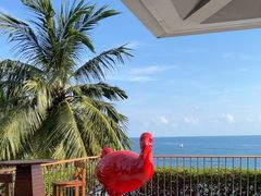 -日落吧·海景咖啡厅·餐酒吧·鸡尾酒·下午茶·乐队表演·浪漫夕阳·三亚文华东方酒店