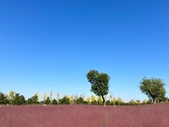 -汉长安城未央宫国家考古遗址公园