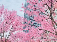 -首开·龙湖成都西宸天街