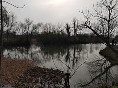 -西溪国家湿地公园