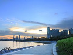 -宝安西湾红树林湿地公园