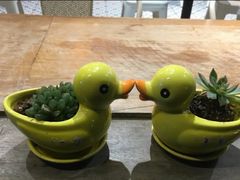 -印象江南(东栅店)