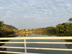 -大湾区中央湿地公园
