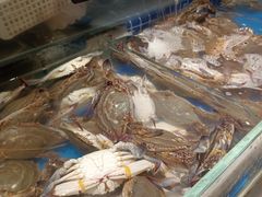 -加餐海鲜自助餐厅(福清万达店)