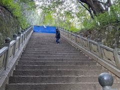 -蝴蝶泉公园
