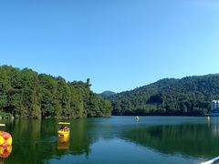 -江西阳明山国家森林公园