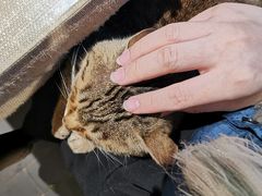 -炊烟餐厅