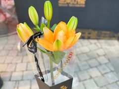 -思南公馆