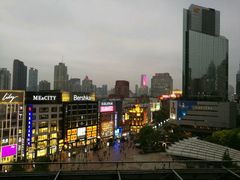 -南八仙·老上海味道(南京东路店)