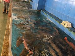 -大天然酒店(军民路店)