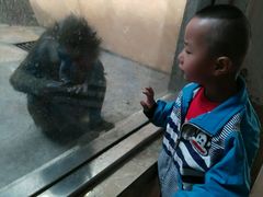 -石家庄市动物园