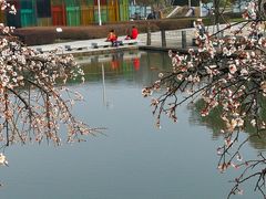 -白塘生态植物园