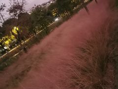 -昆山城市生态森林公园