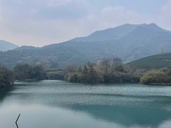 -龙坞茶村