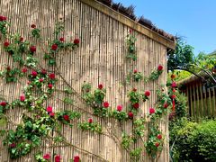 -半山•草庐玖厨(机场路店)