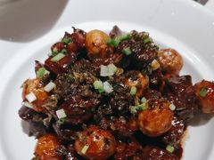 -大鸭梨烤鸭店(花园村店)