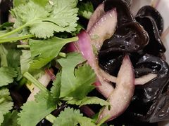 -金熊猫川菜餐厅