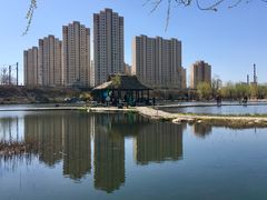 -前关湿地公园
