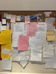 -复旦大学附属妇产科医院(黄浦院区)