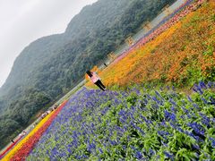 -广州市石门国家森林公园
