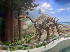 -延庆地质公园博物馆