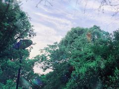 -吴淞炮台湾湿地森林公园烧烤区
