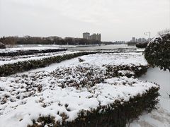 -沙澧河风景区