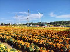 -草原天路(张北县)