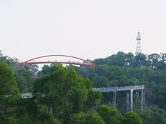 -金鸡山公园